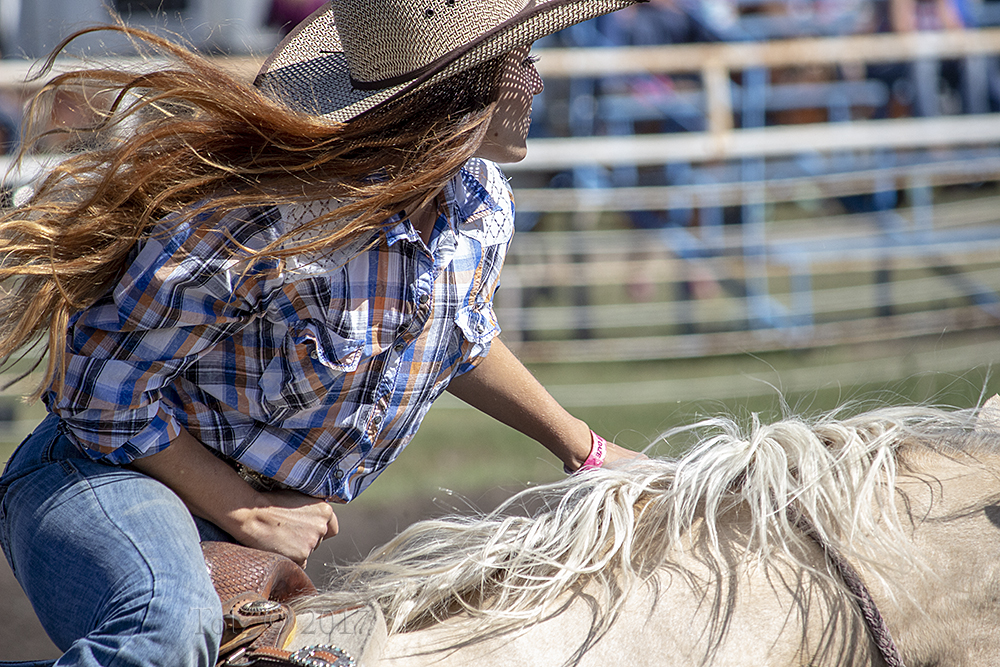 Welcome to TOLZ PhotoBlog page!!